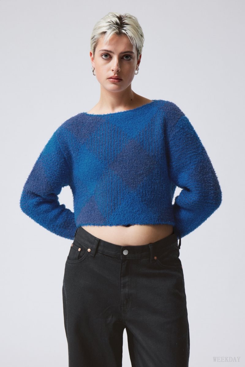 Weekday Hera Check Hairy Sweater セーター レディース 青 Japan | W0P-7075